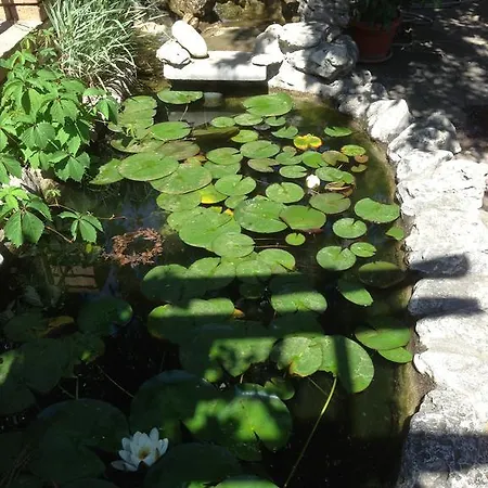 Complex Astra Hotel Sunny Beach