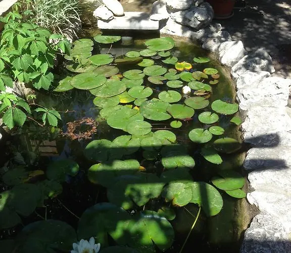 Complex Astra Hotel Sunny Beach